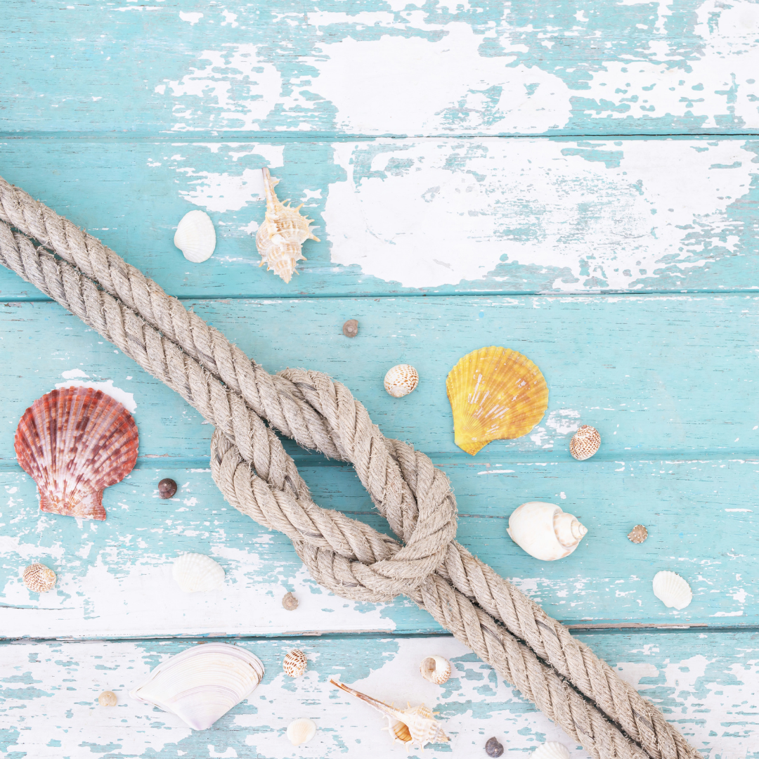 blue driftwood rope and seashells